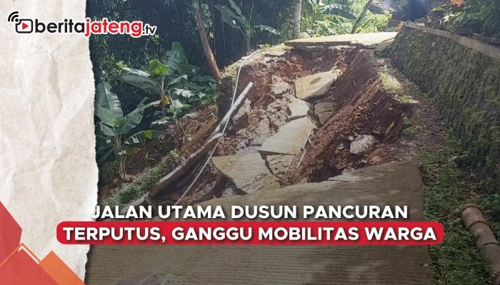 Video Jalan Utama Dusun Pancuran Terputus, Ganggu Mobilitas Warga