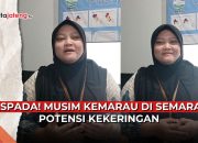 kemarau kekeringan