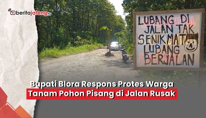 Video Bupati Blora Respons Aksi Protes Jalan Rusak Ditanami Pohon Pisang