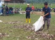 Distanbun Sebut Serangan Hama Tikus di Kabupaten Semarang Terparah se-Jateng, Akan Kaji Studi Kasus