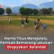 gropyokan hama tikus