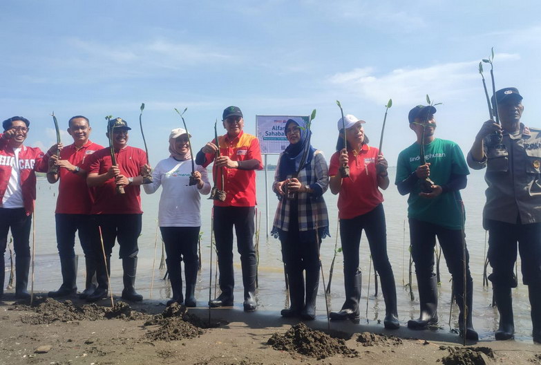 Peringati Hari Bumi, Alfamart Gandeng Pemkot Semarang Tanam 20 Ribu Mangrove di Pantai Mangunharjo