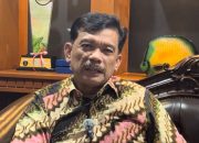 Pemutihan Pajak