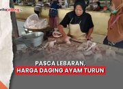 Video Harga Daging Ayam Turun Pasca Lebaran