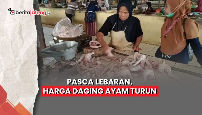 Video Harga Daging Ayam Turun Pasca Lebaran