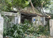 Warga Resah, Rumah Dinas Kosong di Semarang Terkesan Horor hingga untuk Transaksi Narkoba