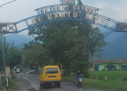 Beban Ganda Petani Banyubiru Semarang: Biaya Tinggi dan Serbuan Tikus dari Luar Daerah