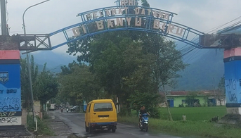 Beban Ganda Petani Banyubiru Semarang: Biaya Tinggi dan Serbuan Tikus dari Luar Daerah