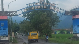 desa banyuputih / hama tikus