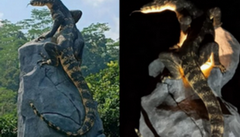 Sukses Curi Perhatian, Patung Biawak Wonosobo Resmi Peroleh Hak Cipta dari Kemenkum Jateng