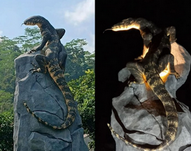 Kemenkum Wonosobo | tugu patung biawak wonosobo