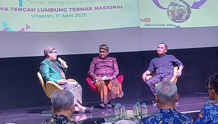 Teja Ungu, Solusi Peternakan Jawa Tengah Hadapi Tantangan Impor Daging, Begini Konsepnya