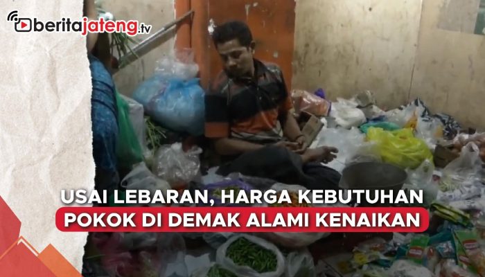 Video Cabai Setan Makin Pedas, Harga Tembus 100 Ribu per Kilo