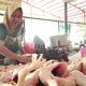 pedagang daging ayam blora