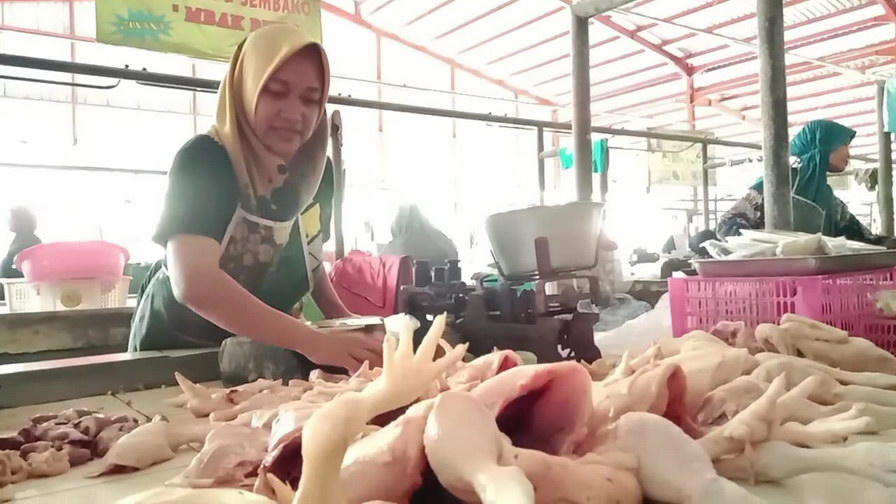 pedagang daging ayam blora