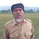 kades banyubiru hama tikus