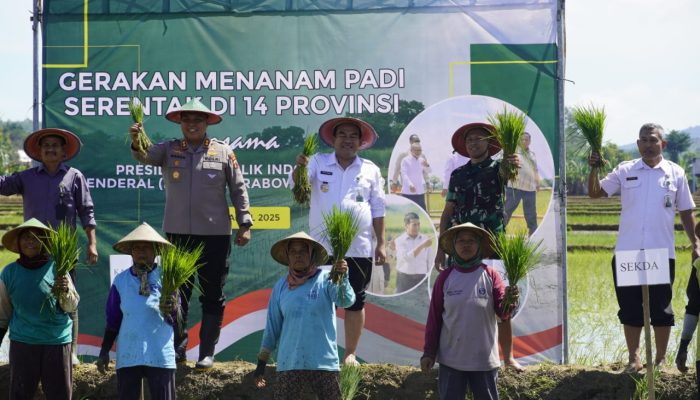 Dukung Ketahanan Pangan Nasional, Blora Siap Jadi Lumbung Pangan