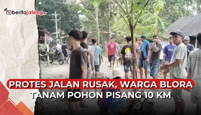 Video Warga Protes, Tanam Pohon Pisang di Jalan