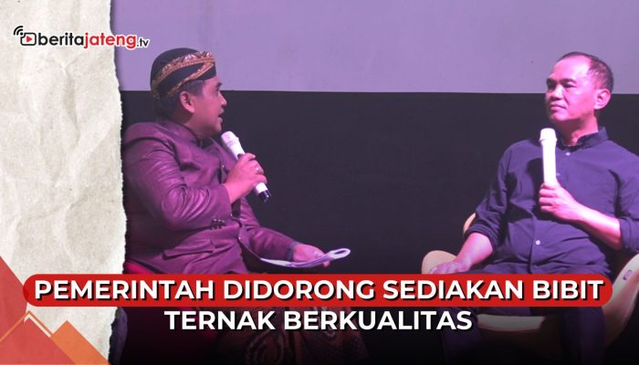 Video Pemerintah Didorong Sediakan Bibit Ternak Berkualitas