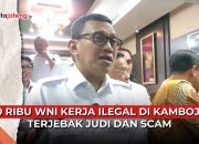 Video Ada 80 Ribu WNI Kerja Ilegal di Kamboja, Terjebak Judi dan Scam