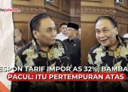 Pacul Tarif
