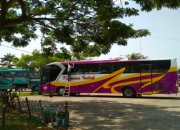 terminal bus kudus