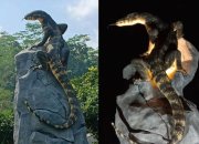 Kemenkum Wonosobo | tugu patung biawak wonosobo