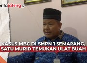 makanan MBG ada ulatnya