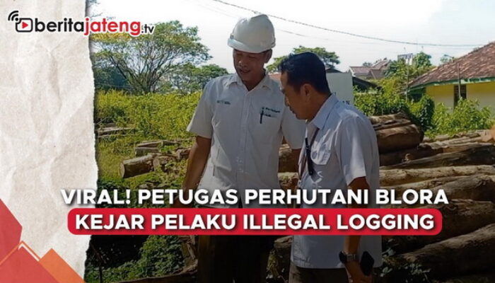 Video Viral Petugas Perhutani Blora Kejar Pelaku Ilegal Logging, Beri Tembakan Peringatan