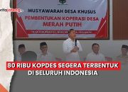 Kopdes