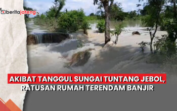 Video Tanggul Sungai Tuntang Jebol, Ratusan Rumah Terendam Banjir