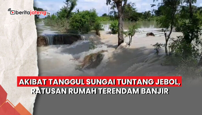 Video Tanggul Sungai Tuntang Jebol, Ratusan Rumah Terendam Banjir