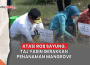 rob sayung Demak