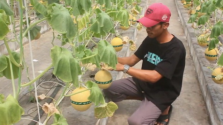 Young Ambassador Agriculture