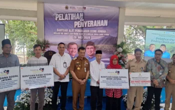 enceng gondok