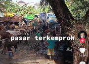video viral Grobogan