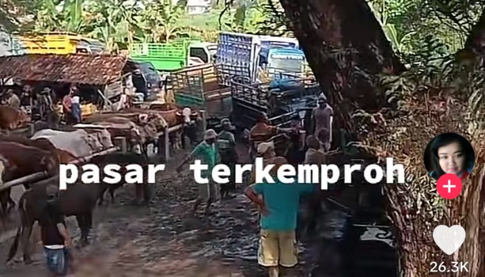 Geger Pasar Kumuh di Wirosari Grobogan, Video Viral Bongkar Dugaan Korupsi