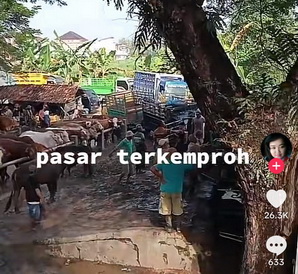 video viral Grobogan