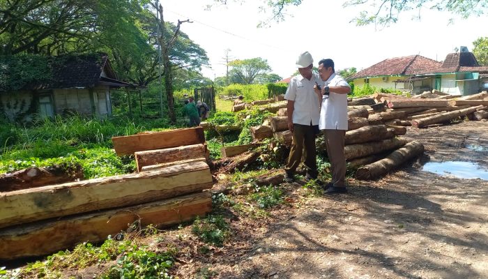 Viral Petugas Perhutani Blora Kejar Pelaku Illegal Logging, Beri Tembakan Peringatan Dua Kali