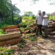 Illegal Logging