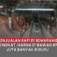 Video Penjualan Sapi di Semarang Meningkat, Harga di Bawah Rp25 Juta Banyak Diburu