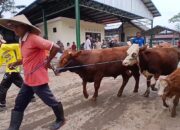 Kurban Semarang
