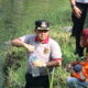 Kaligung Tercemar