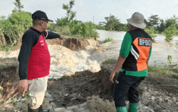 Pengecekan tanggul Kanan Sungai Tuntang di Desa Karangreja, Kecamatan Bonang,