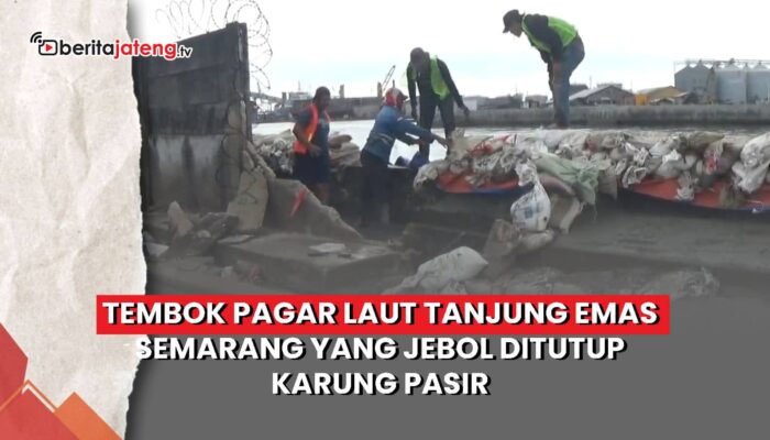 Video Tembok Pagar Laut Tanjung Emas Semarang yang Jebol Ditutup Karung Pasir
