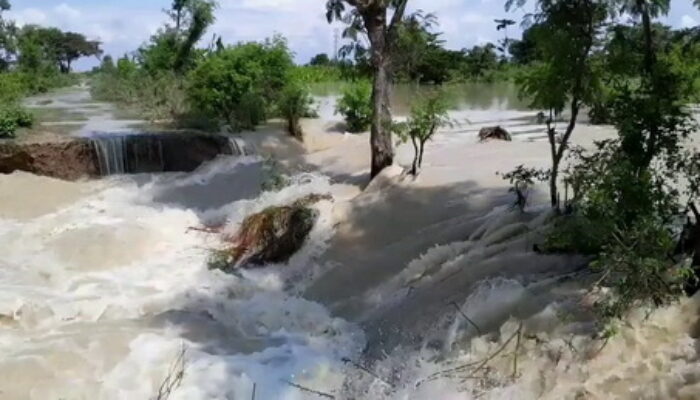 Tanggul Sungai Tuntang Kembali Jebol, Ratusan Rumah di Karangrejo Demak Terendam Banjir