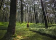 wisata purwokerto