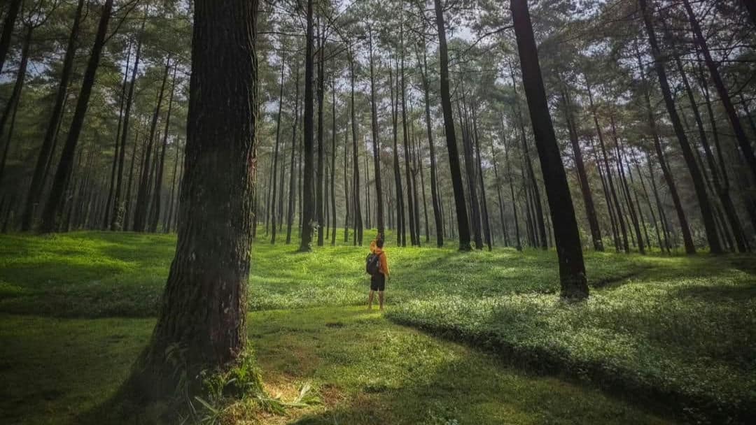 wisata purwokerto