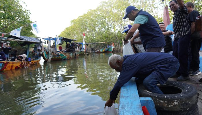 Rayakan HUT ke-16, KNTI Tebar 2 Ribu Benih Ikan Nila Salin di Sungai Ketapang Pemalang