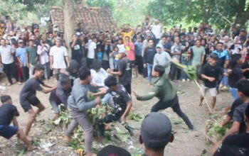 sawuran nasi